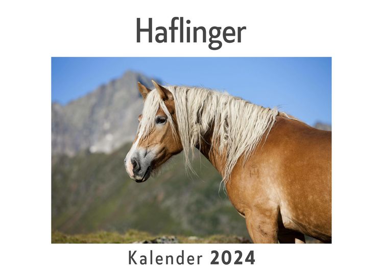 Produktbild: Haflinger (Wandkalender 2024, Kalender DIN A4 quer, Monatskalender im Querformat mit Kalendarium, Das perfekte Geschenk)