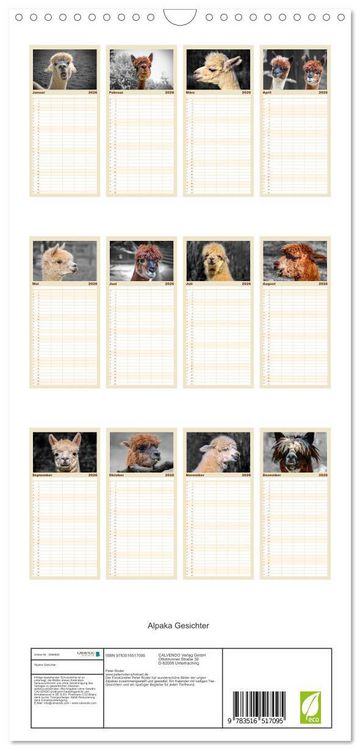Produktbild: Familienplaner 2026 - Alpaka Gesichter mit 5 Spalten (Wandkalender, 21 x 45 cm) CALVENDO