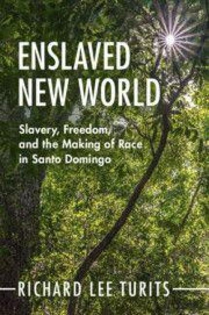 Produktbild: Enslaved New World