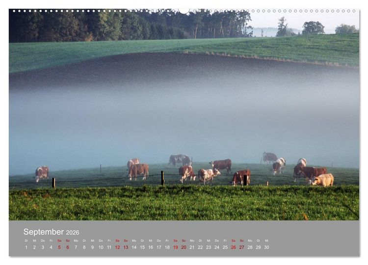 Produktbild: Hallertau (hochwertiger Premium Wandkalender 2026 DIN A2 quer), Kunstdruck in Hochglanz