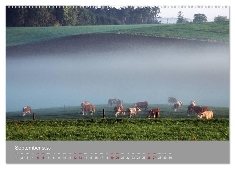 Produktbild: Hallertau (Wandkalender 2026 DIN A2 quer), CALVENDO Monatskalender