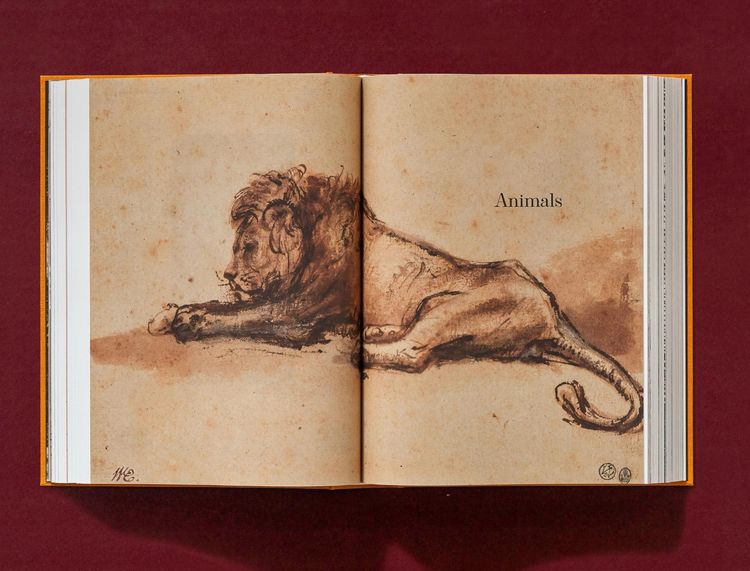 Produktbild: Rembrandt