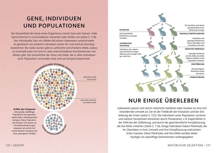 Produktbild: SIMPLY. Naturwissenschaft