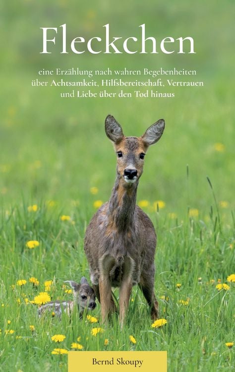 Produktbild: Fleckchen