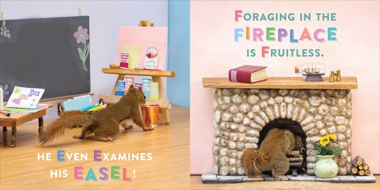 Produktbild: Oakley the Squirrel: The Search for Z