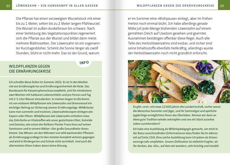 Produktbild: L&ouml;wenzahn - Wunderkraut f&uuml;r Resilienz und Lebenskraft. Kompakt-Ratgeber