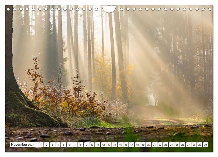 Produktbild: Magische Stimmungen in Mecklenburg-Vorpommern (Wandkalender 2027 DIN A4 quer), CALVENDO Monatskalender