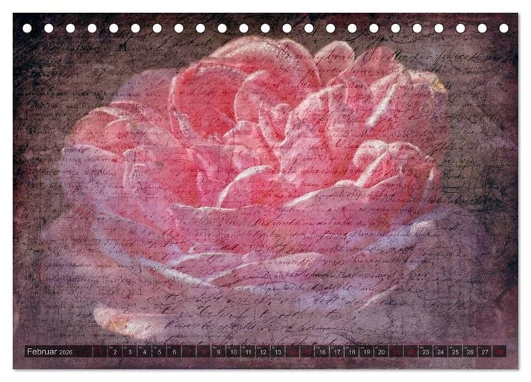 Produktbild: Gothic Rose - Rosen aus dem Garten der Finsternis (Tischkalender 2026 DIN A5 quer), CALVENDO Monatskalender