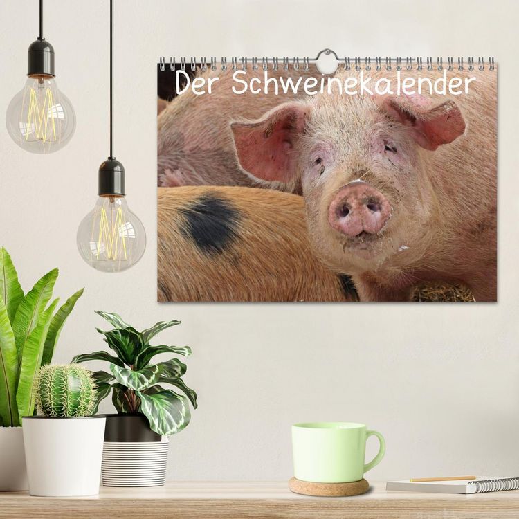 Produktbild: Der Schweinekalender (Wandkalender 2026 DIN A4 quer), CALVENDO Monatskalender
