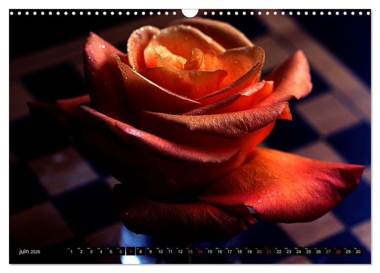 Produktbild: Bouquet d'un jour, bouquet pour toujours (Calendrier mural 2026 DIN A3 vertical), CALVENDO calendrier mensuel