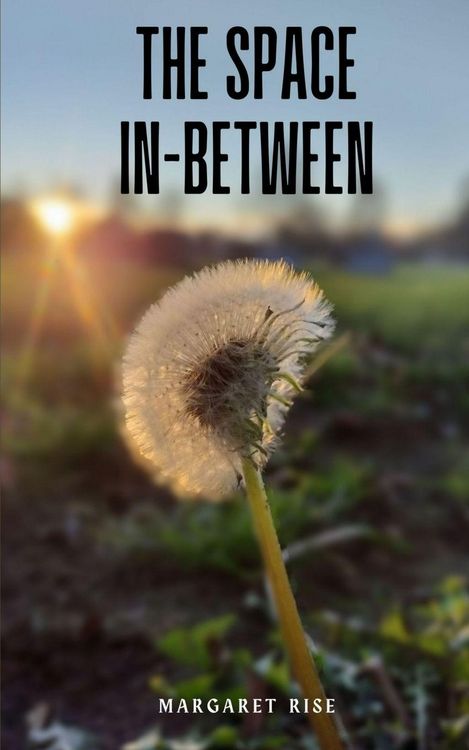 Produktbild: The Space In-between