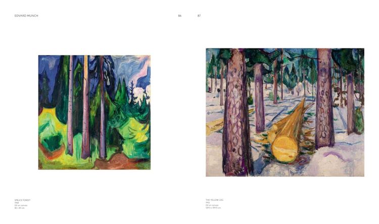 Produktbild: Northern Lights