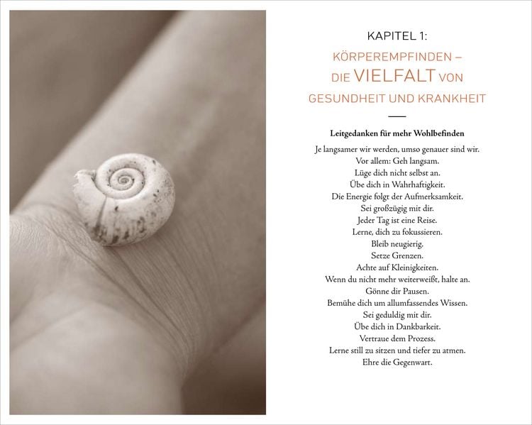 Produktbild: K&ouml;rperfl&uuml;stern