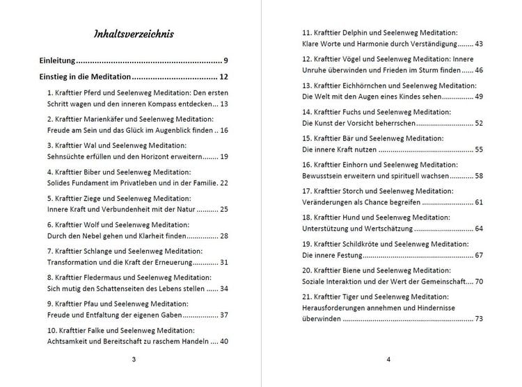 Produktbild: 52 Seelenweg und Krafttier Meditationen