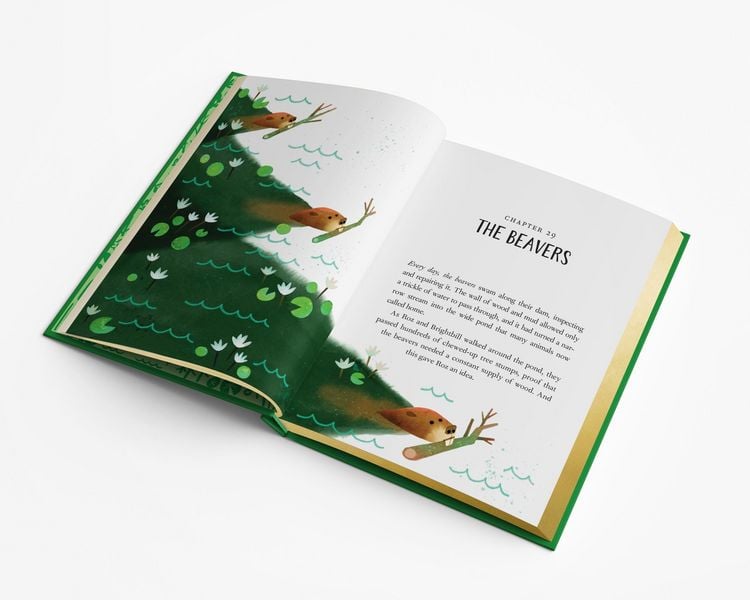 Produktbild: The Wild Robot: Collector's Edition Volume 1