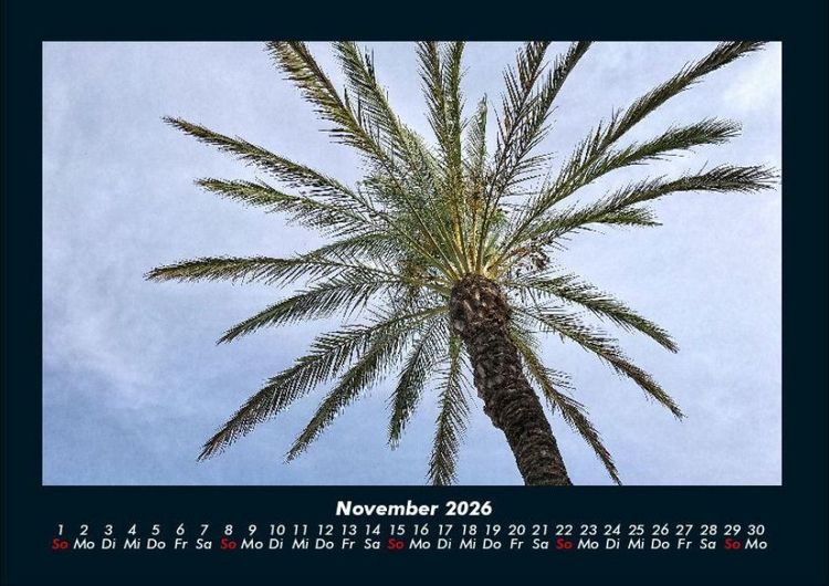 Produktbild: Palmentraum 2026 Fotokalender DIN A4
