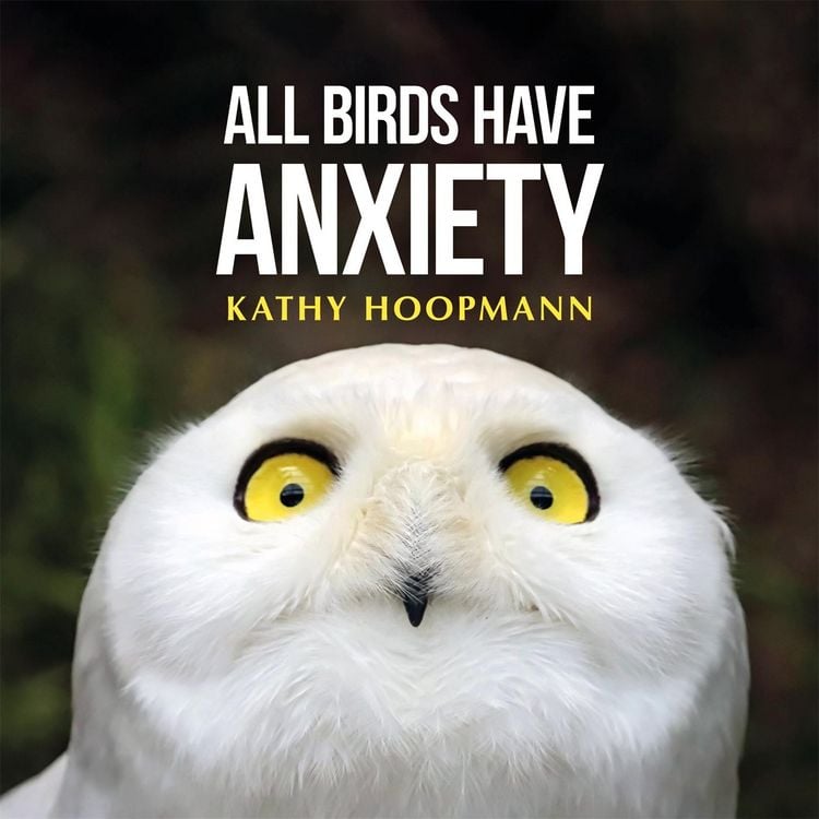 Produktbild: All Birds Have Anxiety