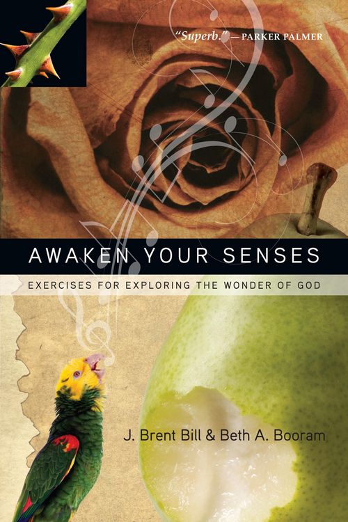 Produktbild: Awaken Your Senses