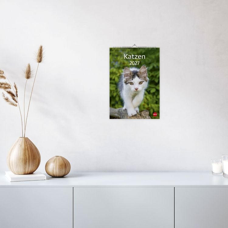 Produktbild: Katzen Kalender 2027
