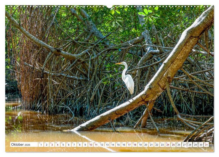 Produktbild: Unterwegs auf Yucatan Mexiko (hochwertiger Premium Wandkalender 2026 DIN A2 quer), Kunstdruck in Hochglanz