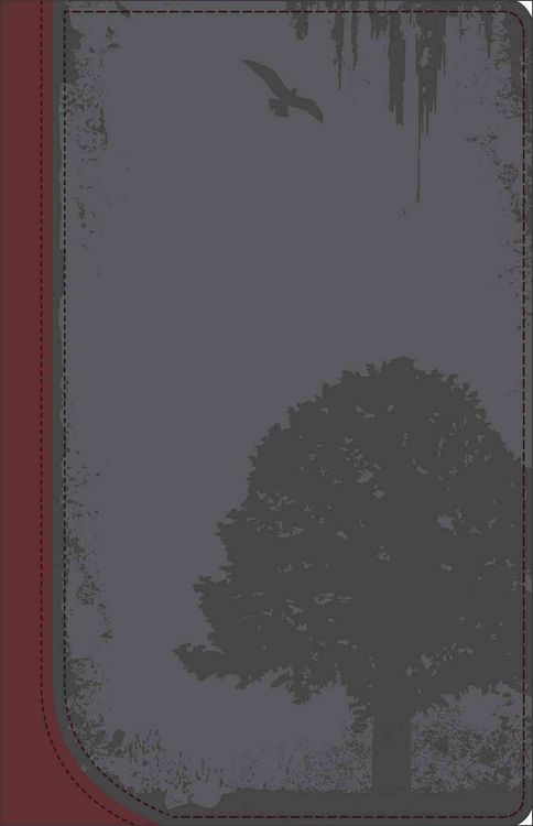 Produktbild: DiMarco, M: God Guy Bible