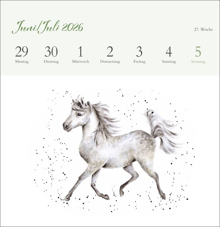 Produktbild: Hannah Dale: Happy Animals Premium-Postkartenkalender 2026