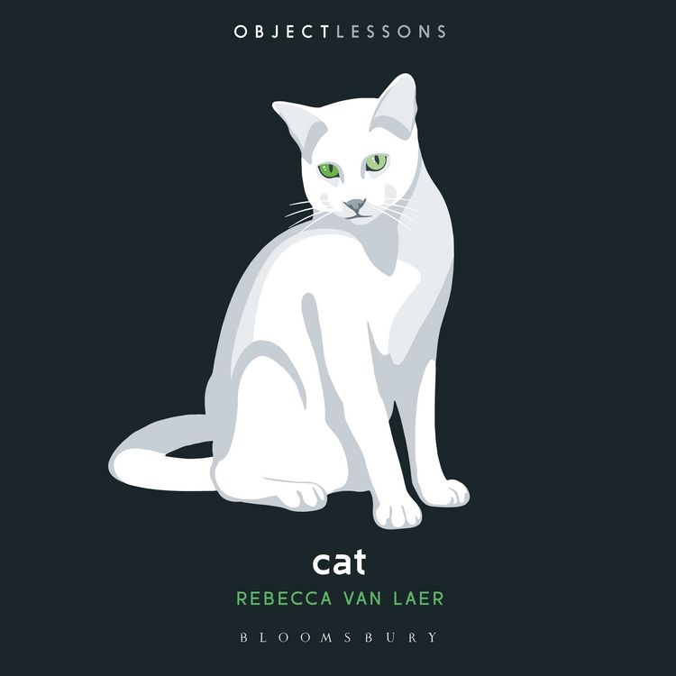 Produktbild: Cat