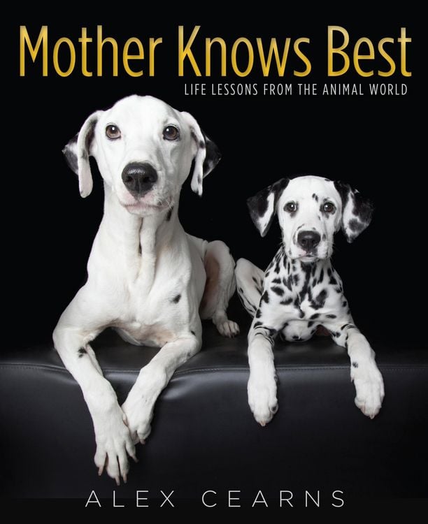 Produktbild: Mother Knows Best
