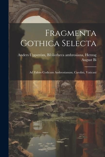 Produktbild: Fragmenta Gothica Selecta