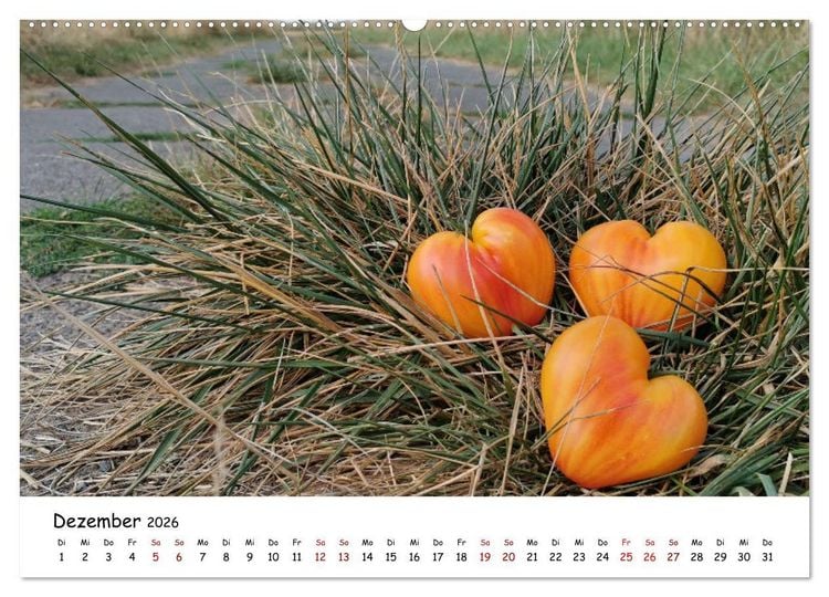 Produktbild: Tomaten Satt (Wandkalender 2026 DIN A2 quer), CALVENDO Monatskalender