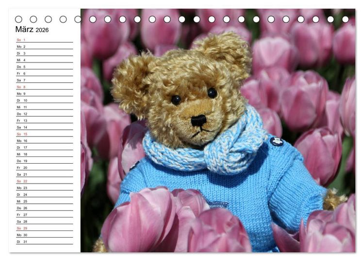 Produktbild: Teddy unterwegs (Tischkalender 2026 DIN A5 quer), CALVENDO Monatskalender