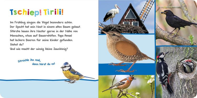 Produktbild: H&ouml;r mal rein, wer kann das sein? &ndash; Im Fr&uuml;hling