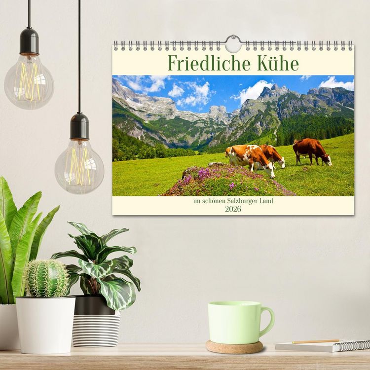 Produktbild: Friedliche K&uuml;he (Wandkalender 2026 DIN A4 quer), CALVENDO Monatskalender