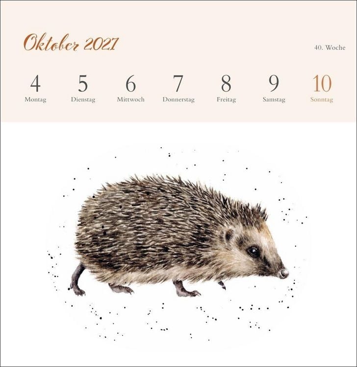 Produktbild: Hannah Dale: Happy Animals Premium-Postkartenkalender 2027