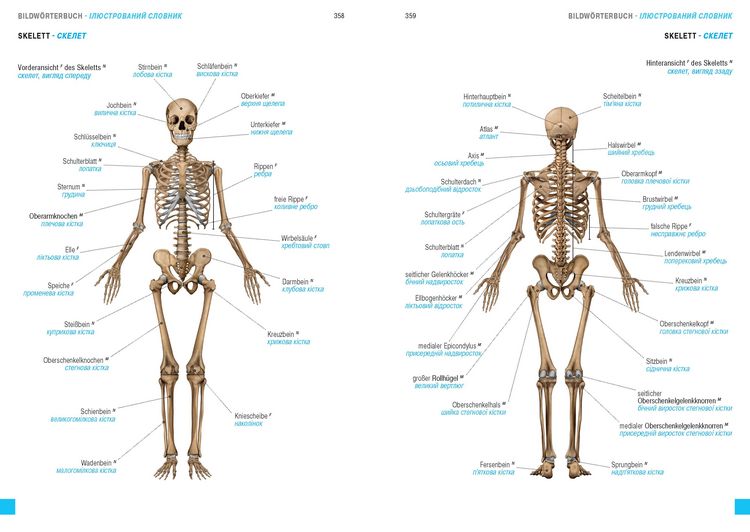 Produktbild: W&ouml;rterbuch Medizin Deutsch-Ukrainisch, Ukrainisch-Deutsch mit zweisprachigen Anatomietafeln