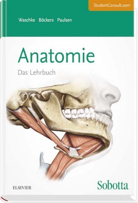 Produktbild: Sobotta Lehrbuch Anatomie