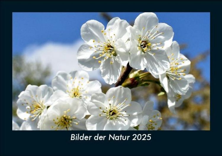 Produktbild: Bilder der Natur 2025 Fotokalender DIN A5