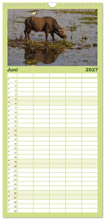 Produktbild: Familienplaner 2027 - Sambias gro&szlig;artige Tierwelt mit 5 Spalten (Wandkalender, 21 x 45 cm) CALVENDO