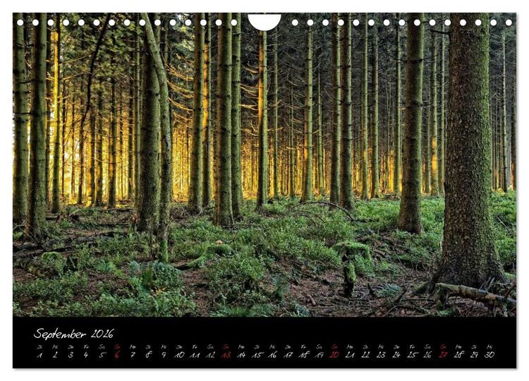 Produktbild: Hochmoor Hohes Venn (Wandkalender 2026 DIN A4 quer), CALVENDO Monatskalender