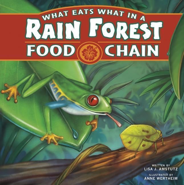 Produktbild: What Eats What in a Rain Forest Food Chain