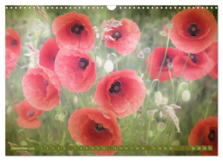 Produktbild: Mohnblumen - Fotografie mit Magie (Wandkalender 2026 DIN A3 quer), CALVENDO Monatskalender