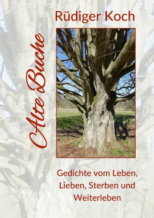 Produktbild: Alte Buche