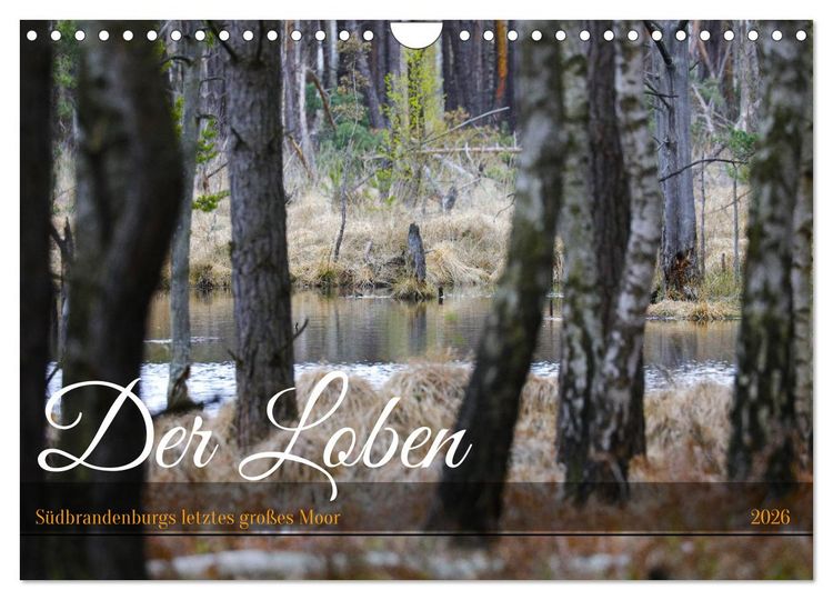 Produktbild: Der Loben. Im Reich der Moorgeister und Kreuzottern- S&uuml;dbrandenburgs letztes gro&szlig;es Moor (Wandkalender 2026 DIN A4 quer), CALVENDO Monatskalender