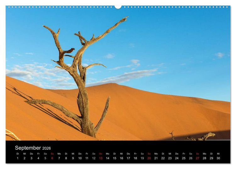 Produktbild: Lichterf&uuml;lltes Namibia (Wandkalender 2026 DIN A2 quer), CALVENDO Monatskalender