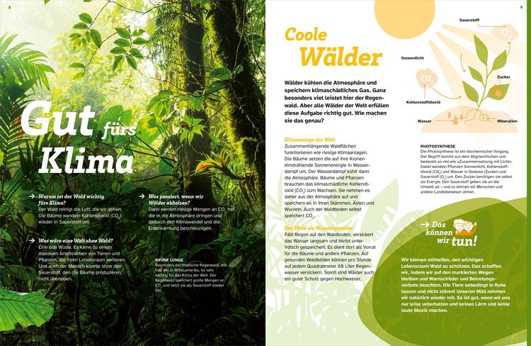 Produktbild: WAS IST WAS Der Wald. Zwischen Bl&auml;ttern und Zapfen