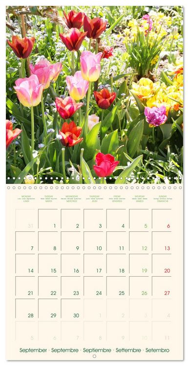 Produktbild: Tulipes charmantes et fra&icirc;ches (Calendrier mural carr&eacute; 2026 30x30 cm) Calendrier double avec une page pour vos prises de notes