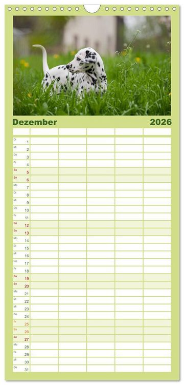 Produktbild: Familienplaner 2026 - Dalmatiner mit 5 Spalten (Wandkalender, 21 x 45 cm) CALVENDO