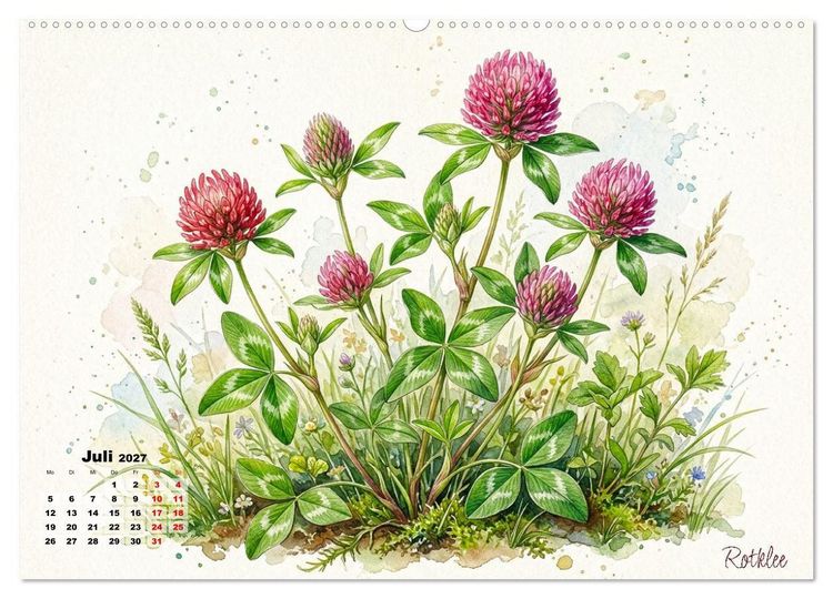 Produktbild: Wilde Kostbarkeiten &ndash; Essbar, gesund & wundersch&ouml;n (Wandkalender 2027 DIN A2 quer), CALVENDO Monatskalender