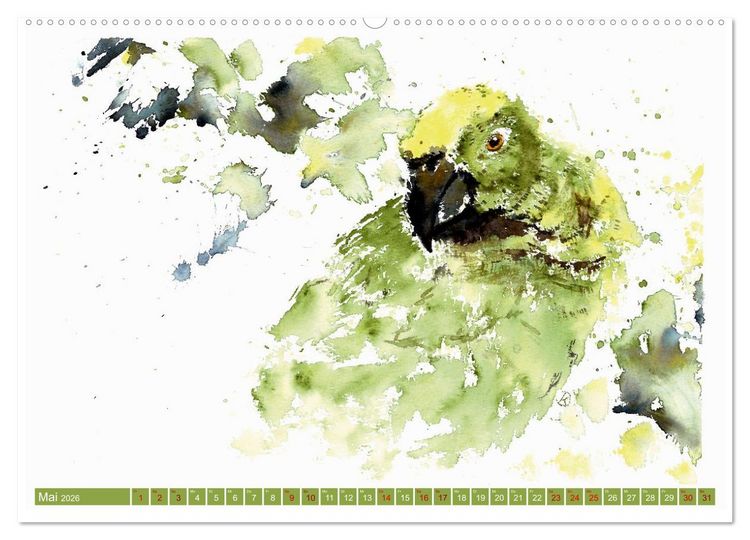 Produktbild: Faszination V&ouml;gel im Aquarell - Expressionistische Kunst von Doris Kr&uuml;ger (Wandkalender 2026 DIN A2 quer), CALVENDO Monatskalender