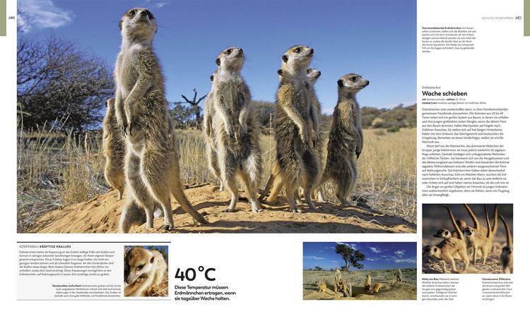 Produktbild: Tiere und ihr Verhalten